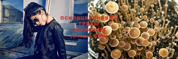 прущие крисы Балахна