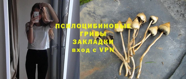 стаф Балабаново