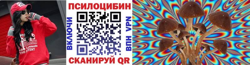 shop формула наркотики Переславль-Залесский Псилоцибиновые грибы Cubensis